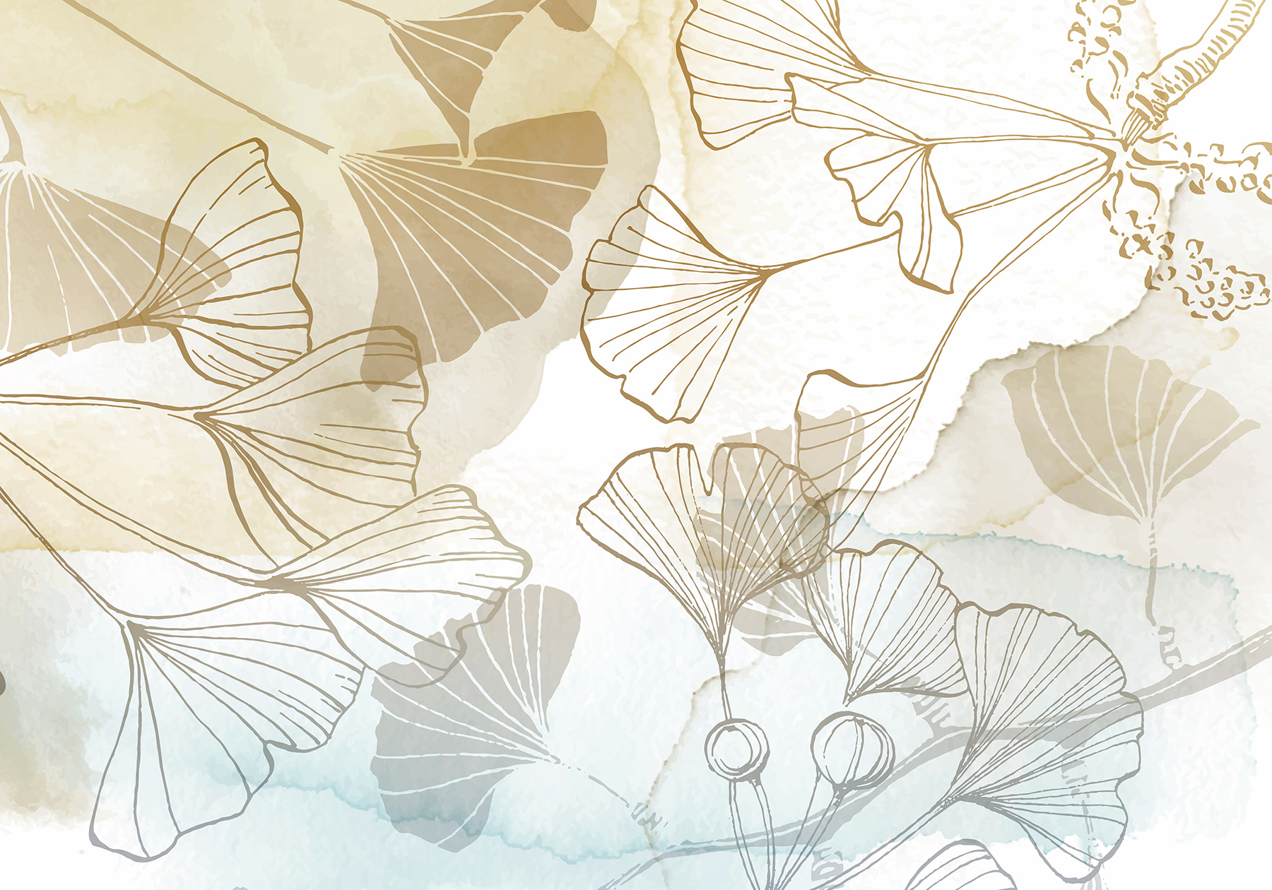 Close up of leaves Close up of leaves