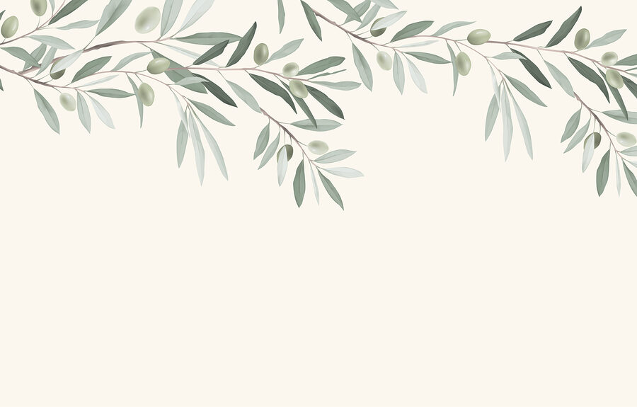 Papel de parede Ramo com folhas e azeitonas - Image 3