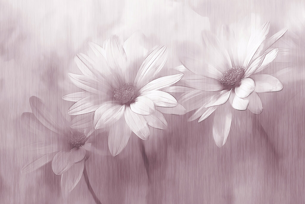 Grande plano de flores Grande plano de flores