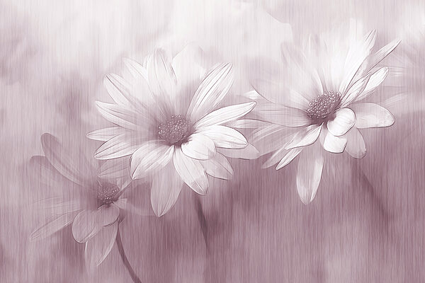 Grande plano de flores Grande plano de flores