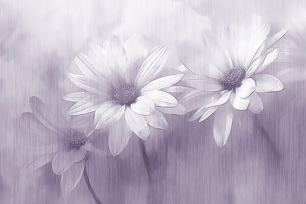 Grande plano de flores Grande plano de flores