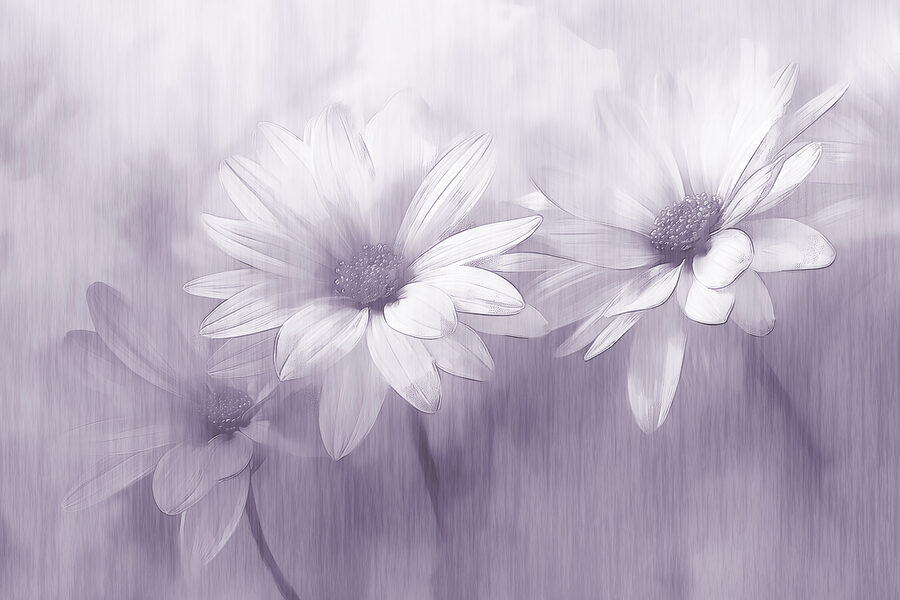 Grande plano de flores