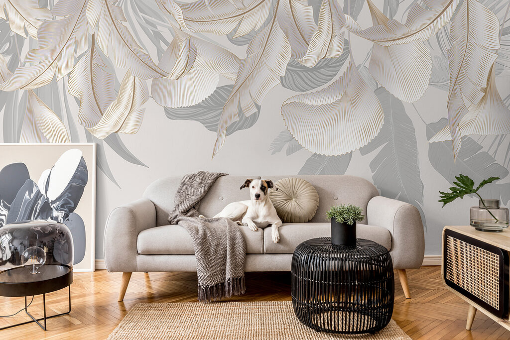 Close up of feathers Close up of feathers