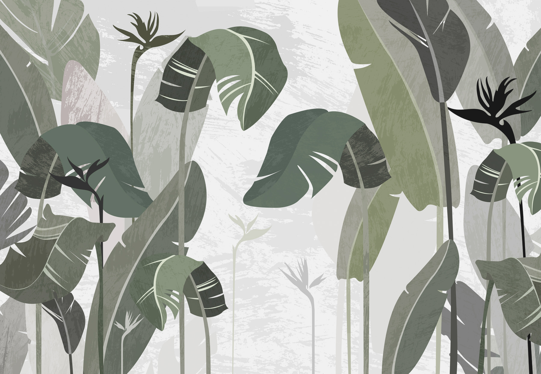 Close up of a plant Close up of a plant