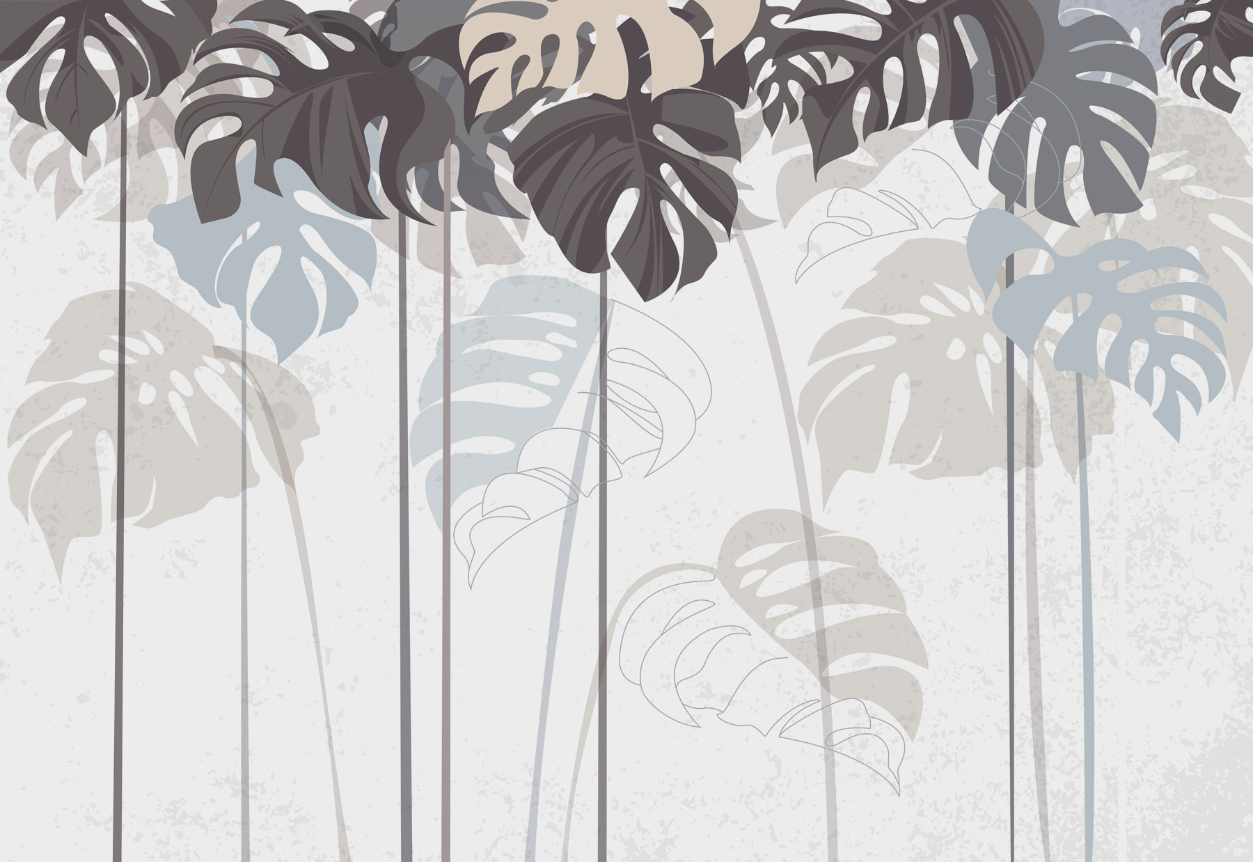 Group of leaves on a white background
