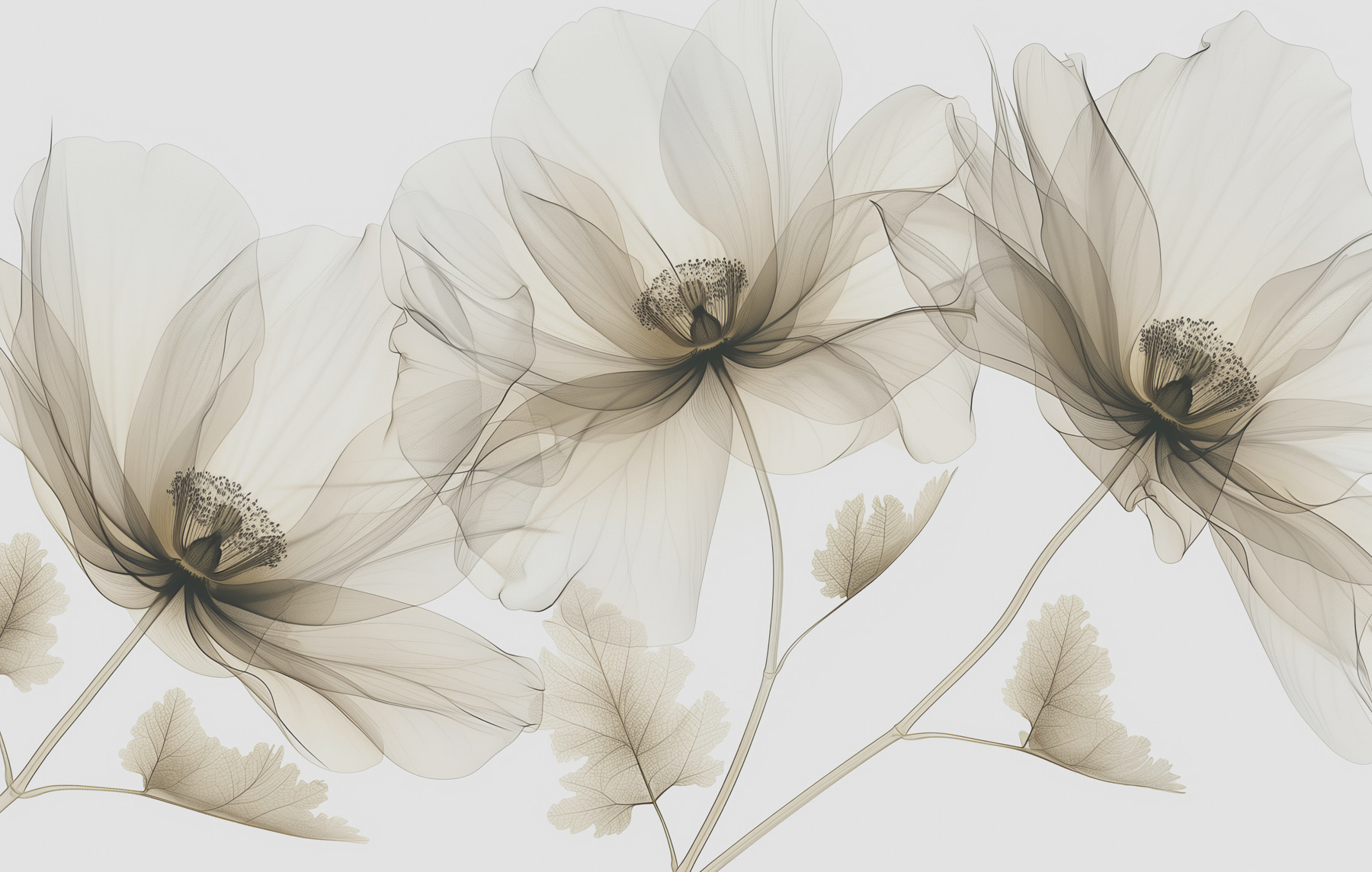 Close up of flowers Close up of flowers