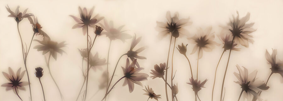 Grupo de flores com fundo desfocado