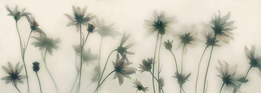 Grupo de flores com caules