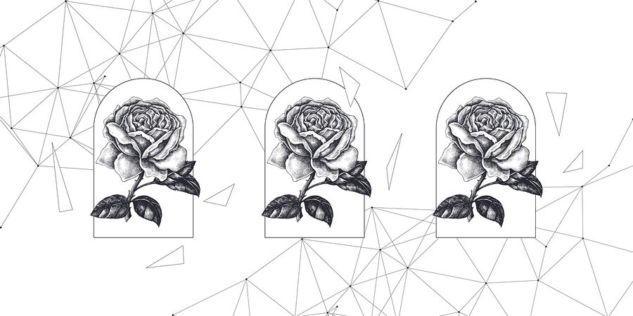 Desenho de uma rosa Desenho de uma rosa