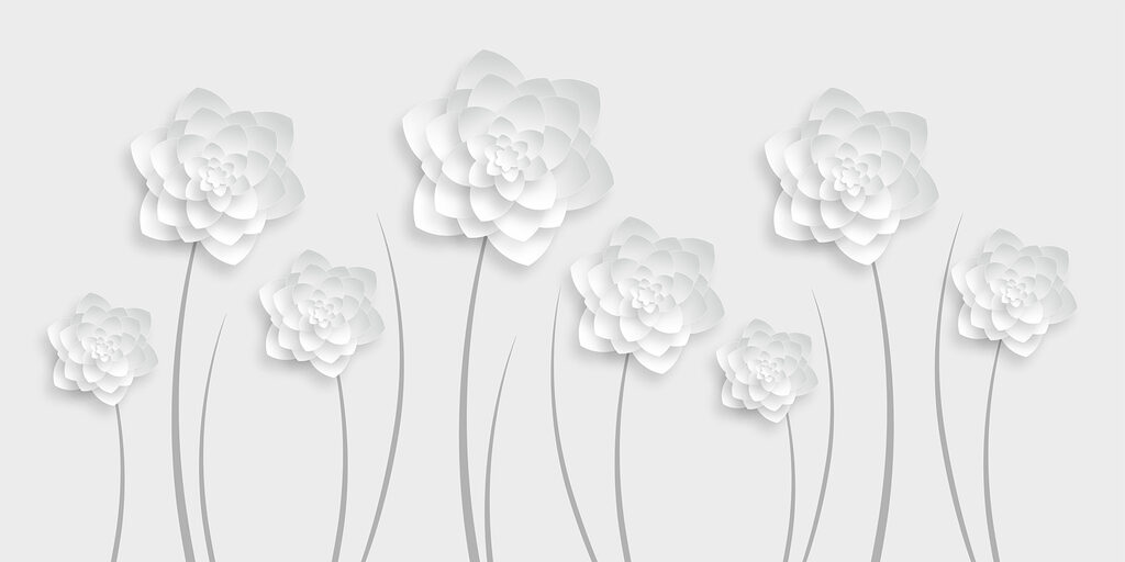 Flores de papel branco sobre um fundo branco Flores de papel branco sobre um fundo branco