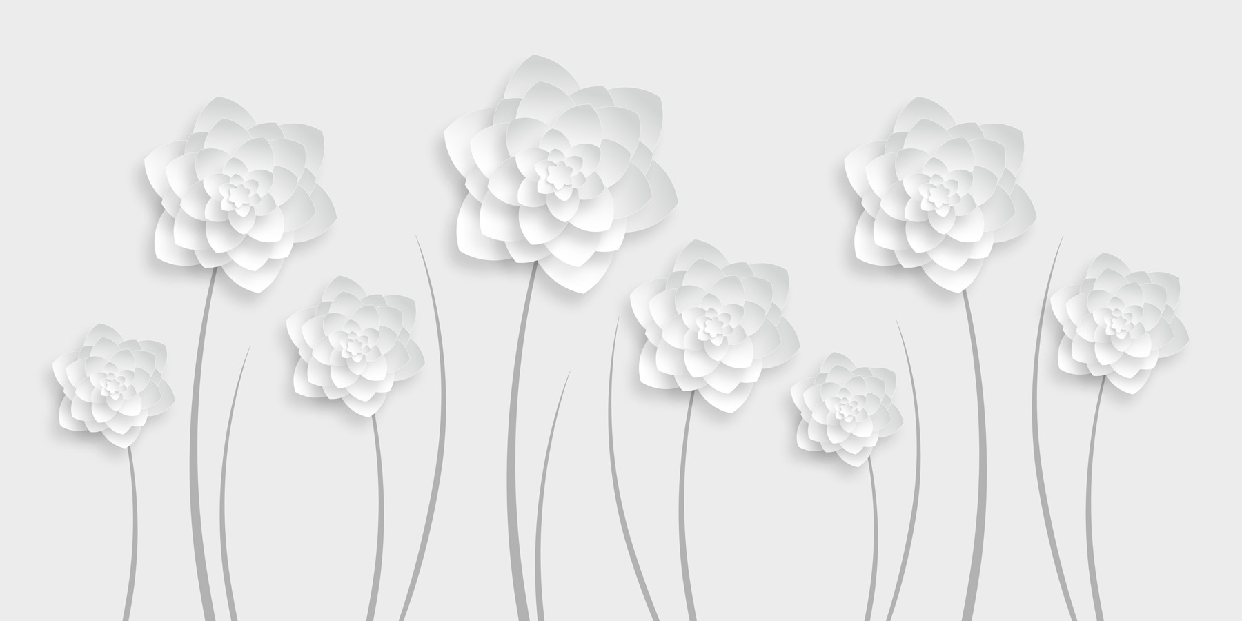 White paper flowers on a white background White paper flowers on a white background