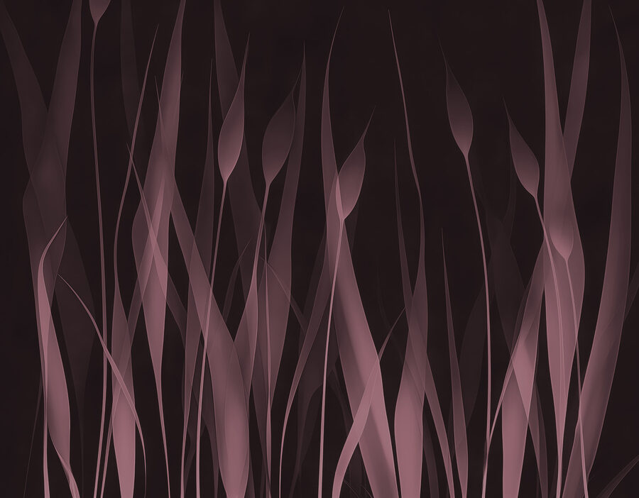 Papel de parede Grande plano da relva - Image 4