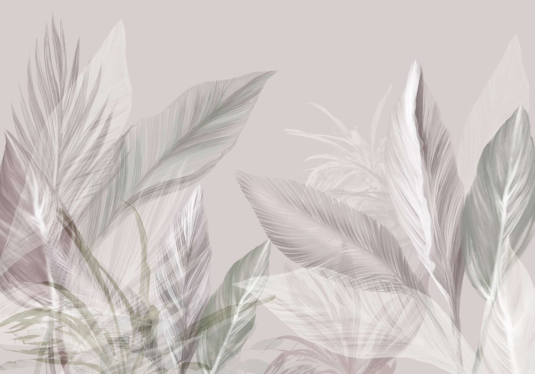 Close up of leaves Close up of leaves