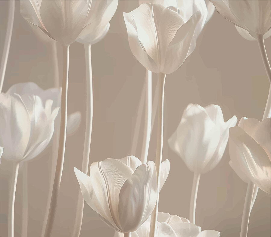 Grupo de flores brancas