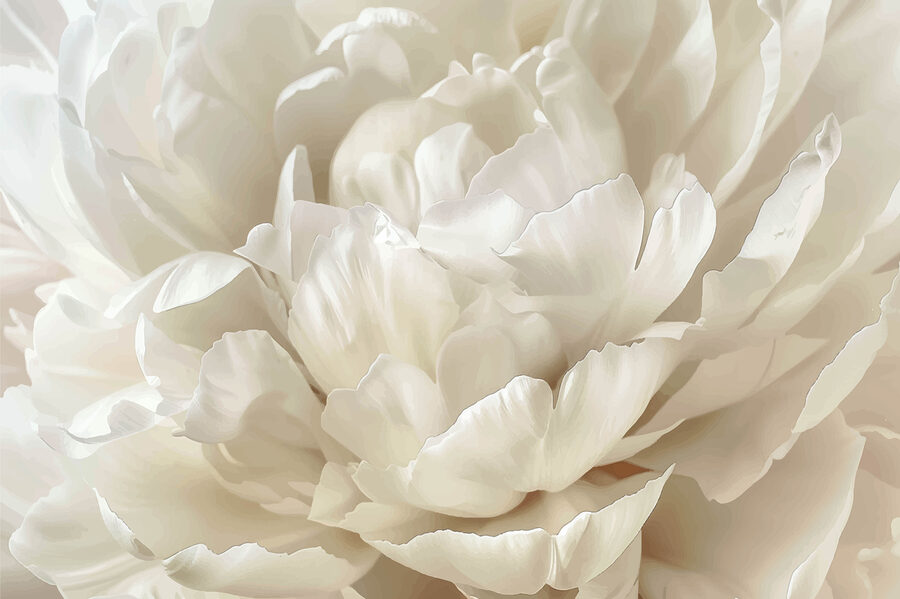 Grande plano de uma flor branca