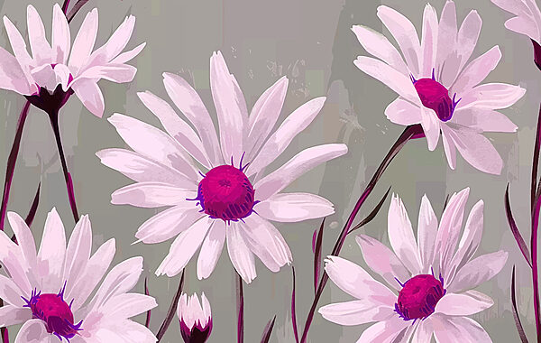 Grupo de flores brancas com centro púrpura Grupo de flores brancas com centro púrpura