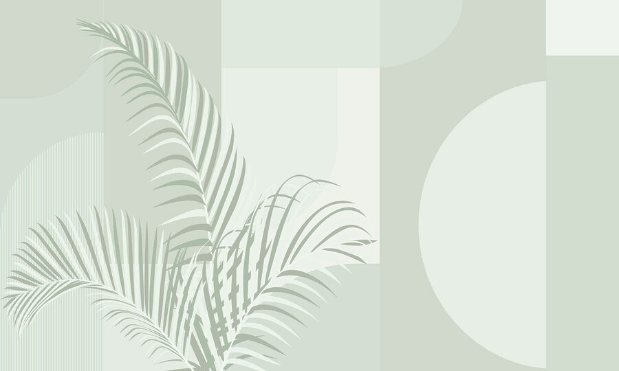 Elegantes folhas de palmeira com tons suaves. Elegantes folhas de palmeira com tons suaves.