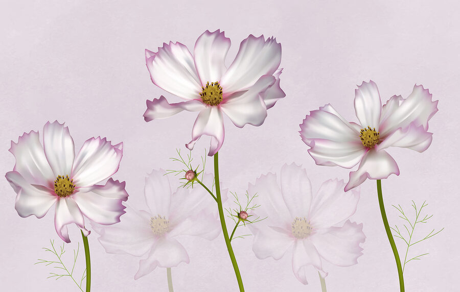 Grupo de flores brancas