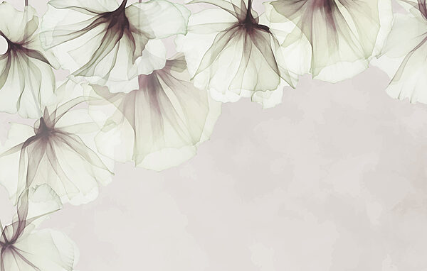 Grande plano de flores Grande plano de flores