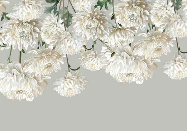Grupo de flores brancas Grupo de flores brancas
