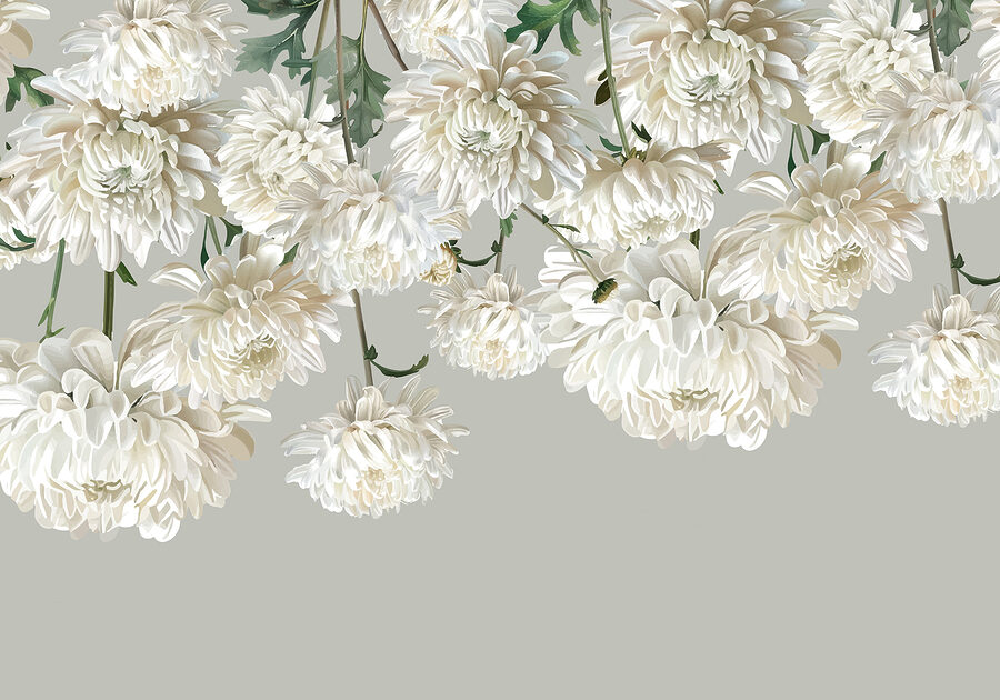 Grupo de flores brancas