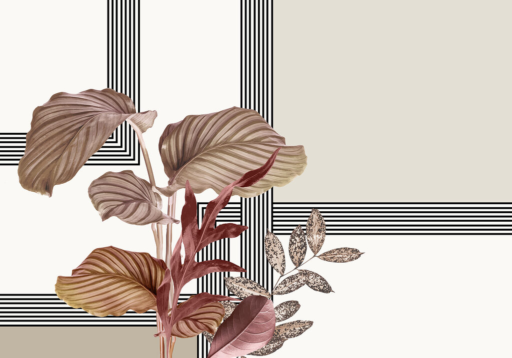 Planta com folhas castanhas Planta com folhas castanhas