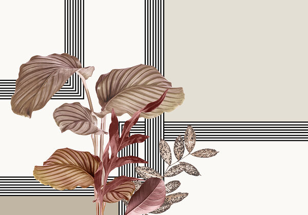 Planta com folhas castanhas Planta com folhas castanhas