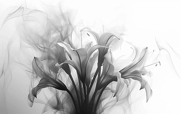 Black and white image of flowers Black and white image of flowers