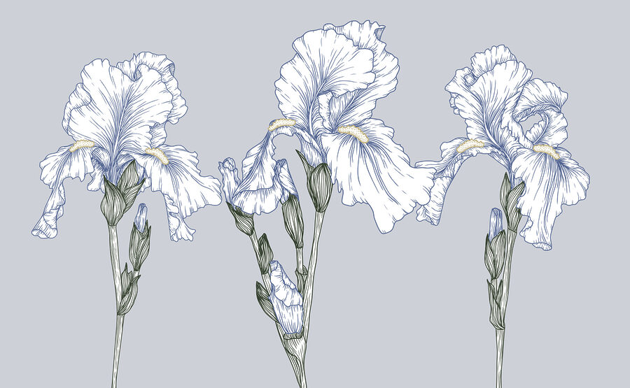Grupo de flores brancas