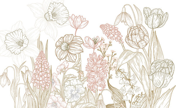 Desenho de flores e plantas Desenho de flores e plantas