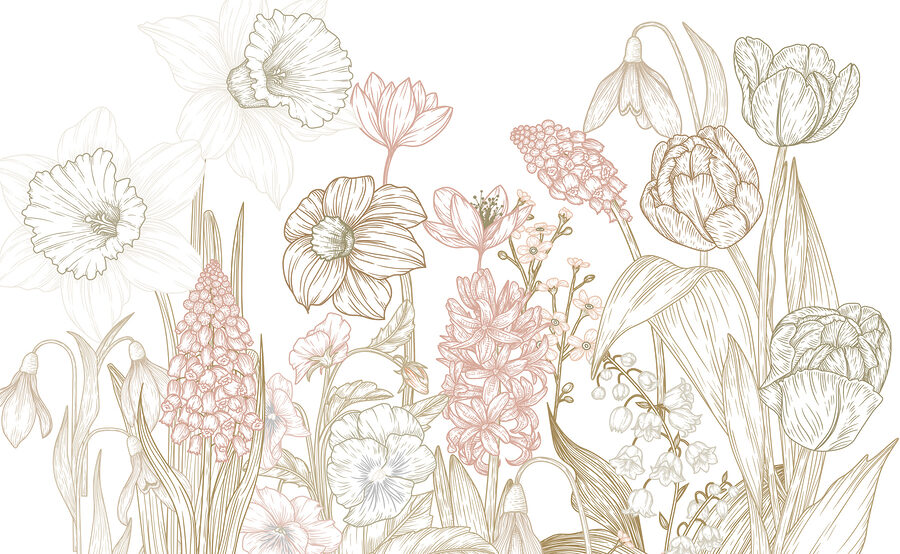 Desenho de flores e plantas