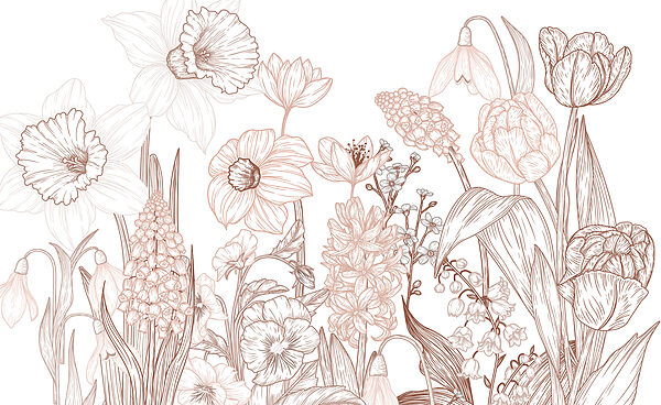 Desenho de flores e folhas Desenho de flores e folhas