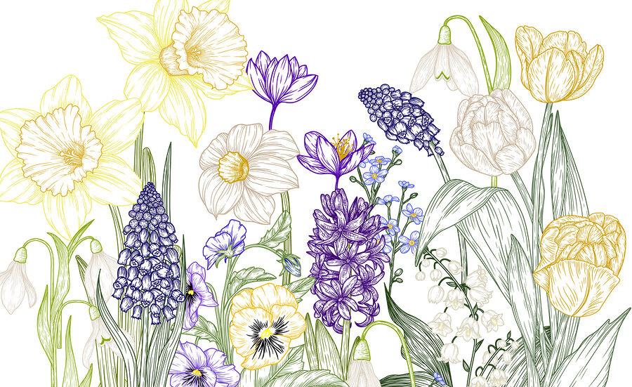 Grupo de flores com folhas verdes