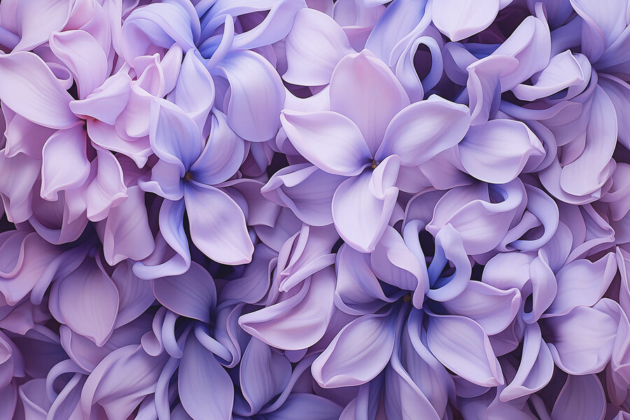 Grupo de flores roxas
