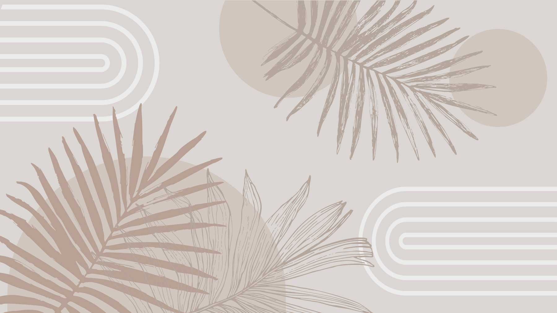 Close up of leaves Close up of leaves