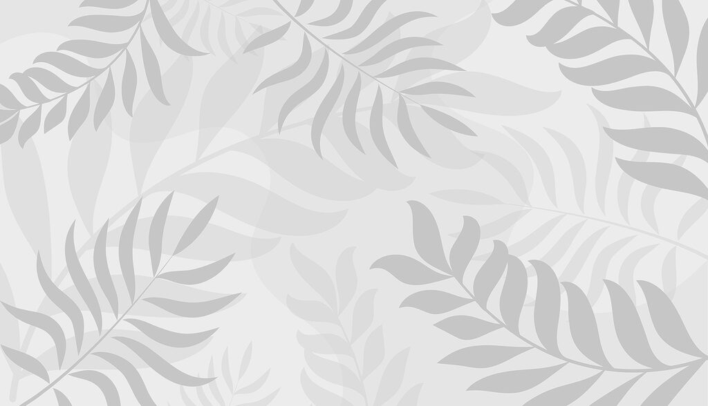 Folhas cinzentas sobre um fundo branco Folhas cinzentas sobre um fundo branco