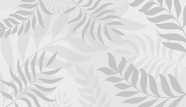 Folhas cinzentas sobre um fundo branco Folhas cinzentas sobre um fundo branco