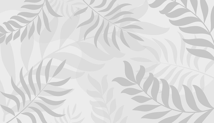Folhas cinzentas sobre um fundo branco