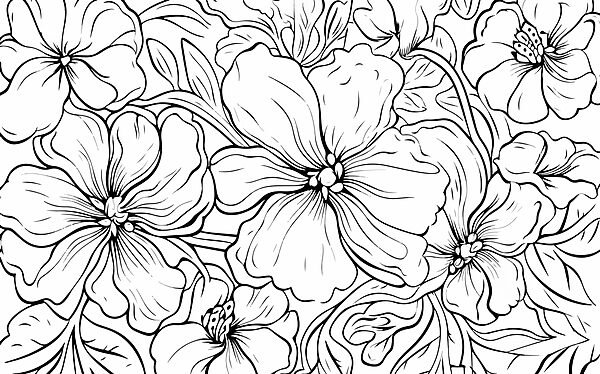 Desenho a preto e branco de flores Desenho a preto e branco de flores