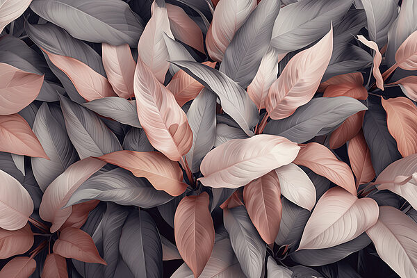 Grupo de folhas com folhas cor-de-rosa e cinzentas Grupo de folhas com folhas cor-de-rosa e cinzentas