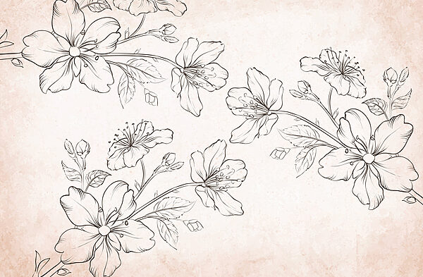 Desenho de flores sobre um fundo branco Desenho de flores sobre um fundo branco