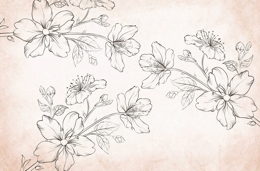 Desenho de flores sobre um fundo branco