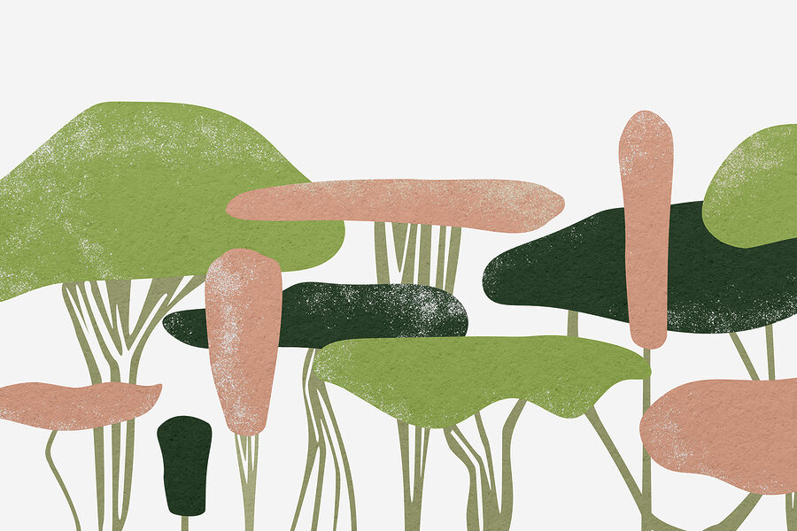 Grupo de árvores com folhas verdes e cor-de-rosa