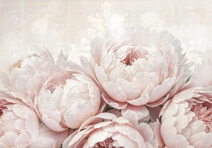 Grupo de flores cor-de-rosa