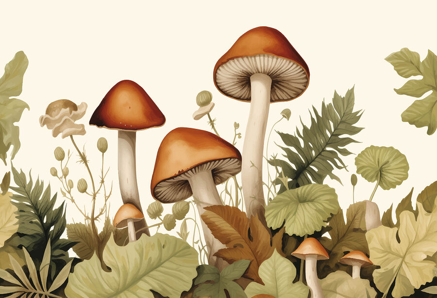 Grupo de cogumelos com folhas