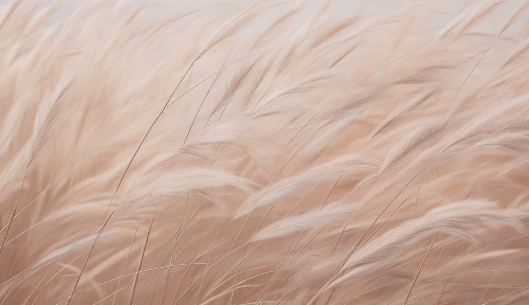 Close up of a plant