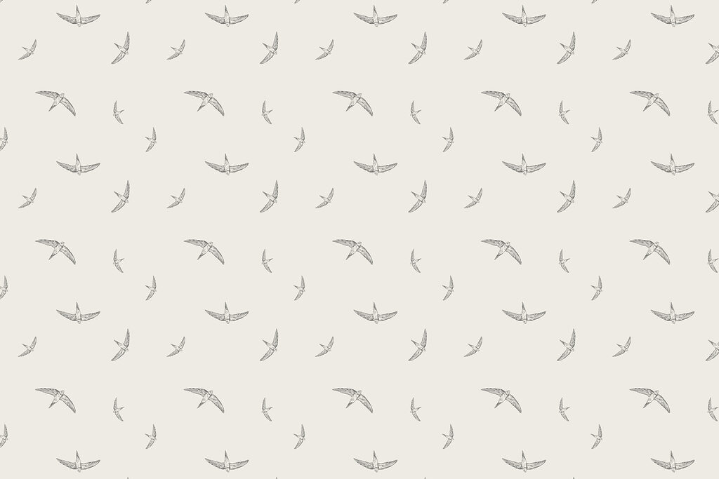 Padrão de pássaros num fundo branco Padrão de pássaros num fundo branco