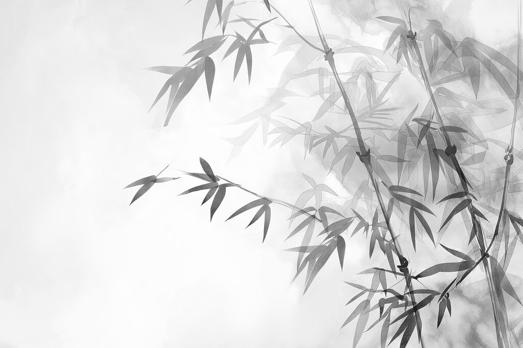 Folhas de bambu num ramo Folhas de bambu num ramo