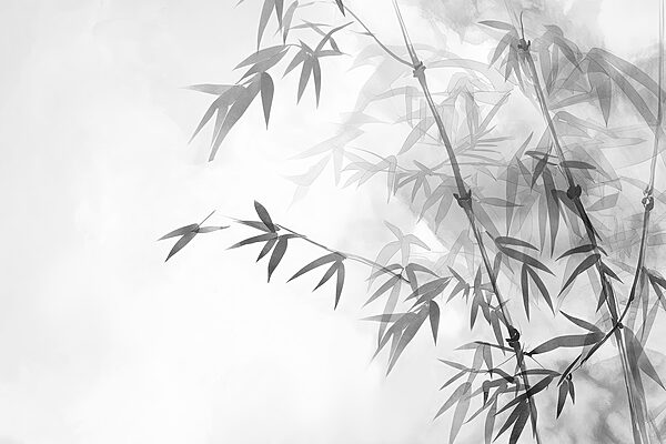 Folhas de bambu num ramo Folhas de bambu num ramo