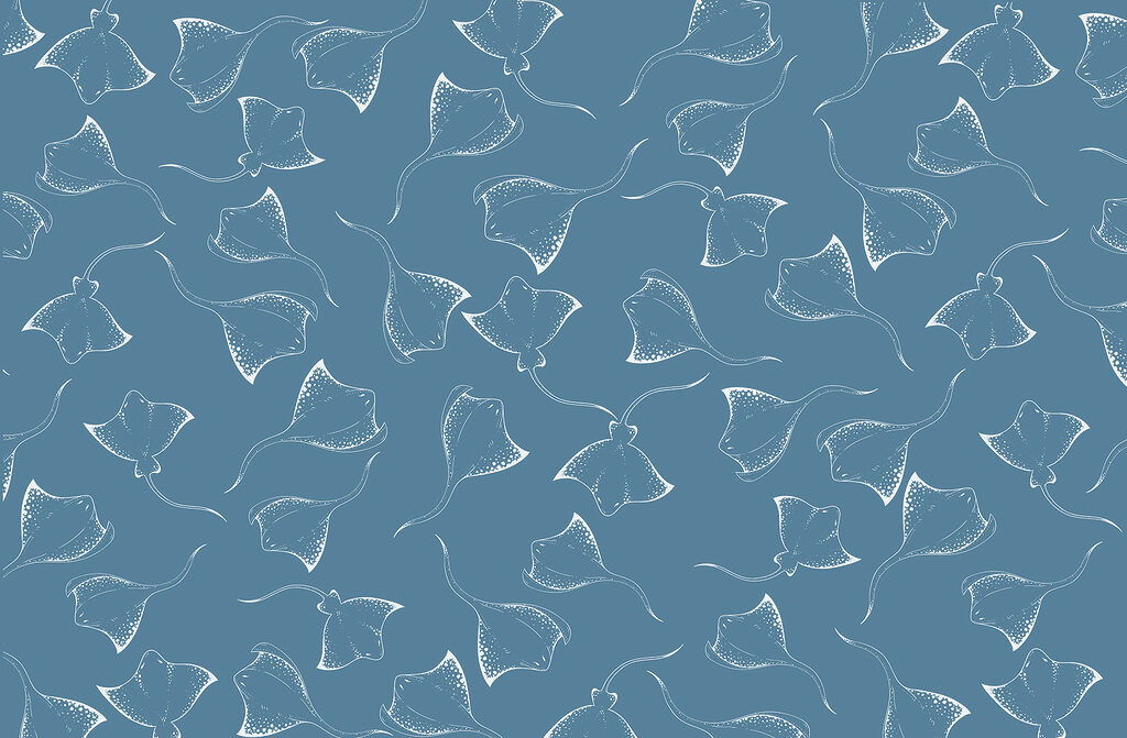 Fundo azul com arraias brancas Fundo azul com arraias brancas